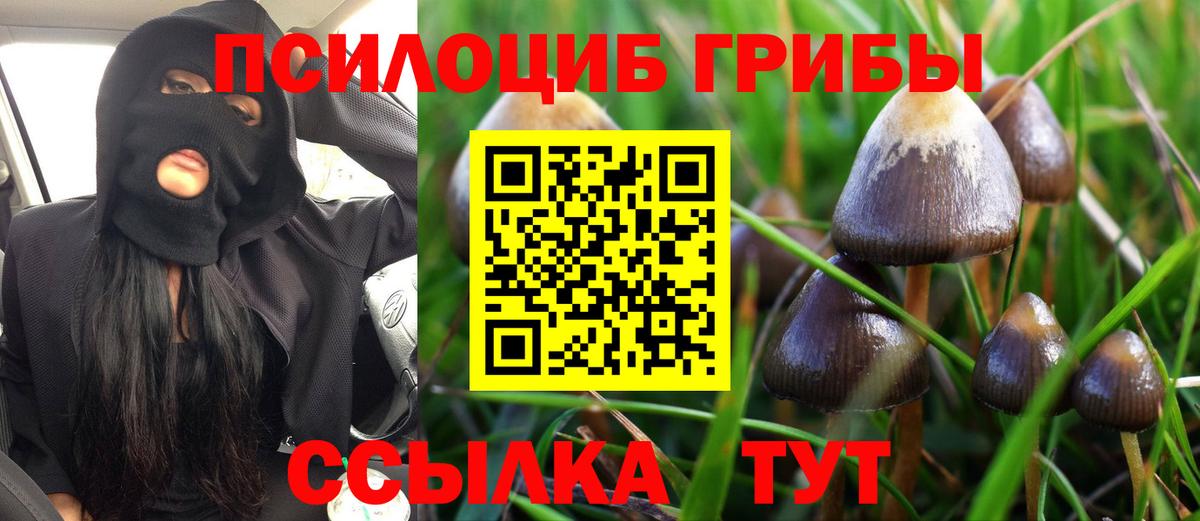 Кулебаки  Галлюциногенные грибы мицелий  Вход с VPN 