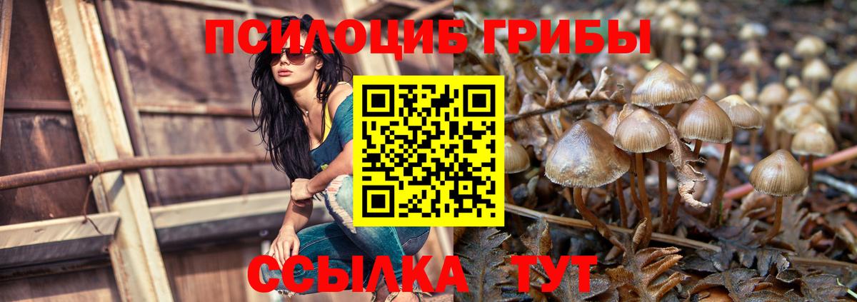 Галлюциногенные грибы ЛСД Кулебаки